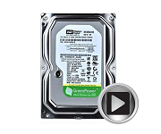 HD WD Sata 1 TB